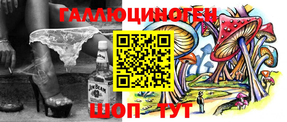 Курчалой  Галлюциногенные грибы MAGIC MUSHROOMS  Вход с VPN 