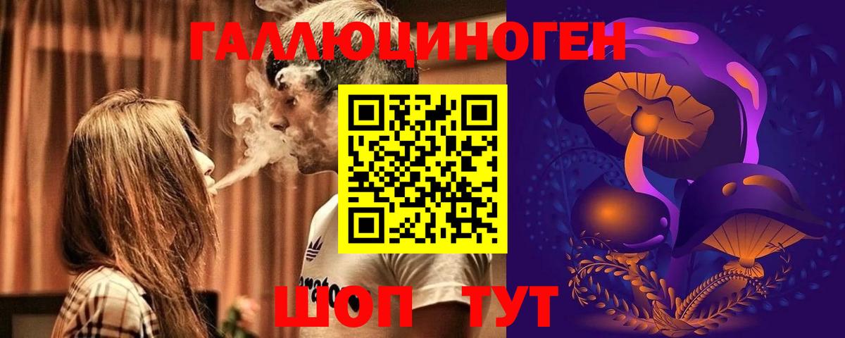 Галлюциногенные грибы Magic Shrooms Курчалой